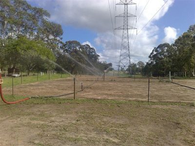 Establishing new pasture on the interconnector pipeline