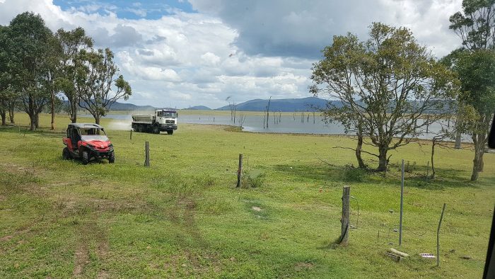 Liming pasture