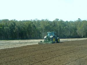 Preparing for Pineapple Planting