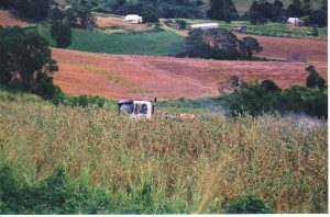 Preparing for Bean Crop